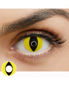 Wild Cat 1 Year Contact Lenses By Crazy Lens (11020IN)