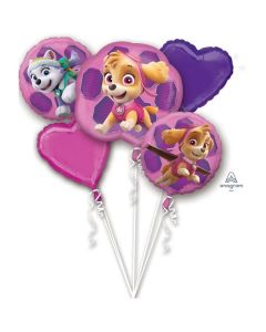 Paw Patrol Skye & Ever Balloon Bouquet (3482801AM)