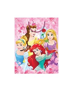 Disney Princess Sketch - Medium Gift Bag (E6614)