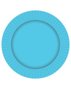 Blue Paper Plates (Pack of 8) (E6862)