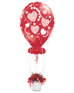 24 Inch Balloon Net (60643Q)