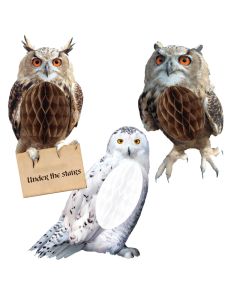 Harry Potter Party - Hanging Honeycomb Owl Decoration (Pack of 3) (88843977AM)