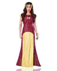 Noble Lady Burgundy Adult Costume (FRA48556)