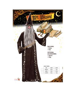 Mr Wizard Adult Costume (D21080)